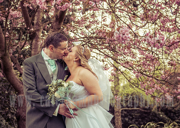 Surrey wedding photographer /Wedding under cherry blossoms / Bride and Groom kiss under the cherry blossoms