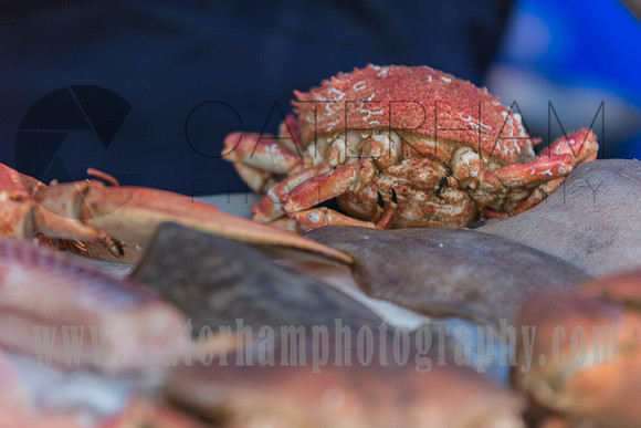 caterham food festival (15)
