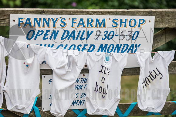 Fanny's Farm Wedding (31)