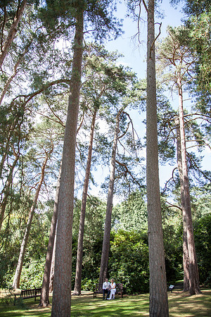 Surrey wedding photographer : Wedding photos in Gorse Hill Wedding Woking