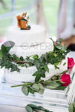 marquee wedding (42)