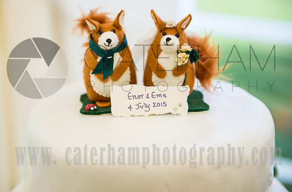 marquee wedding (40)
