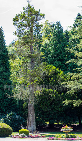 woldingham school wedding / The outside view / Surrey photographer