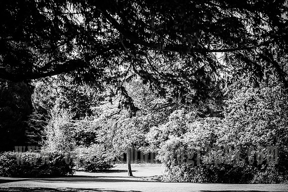 East Grinstead Wedding photographers / yew lodge weddings / The gardens