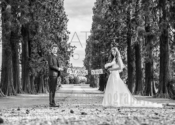 surrey wedding photographer- thank you for coming