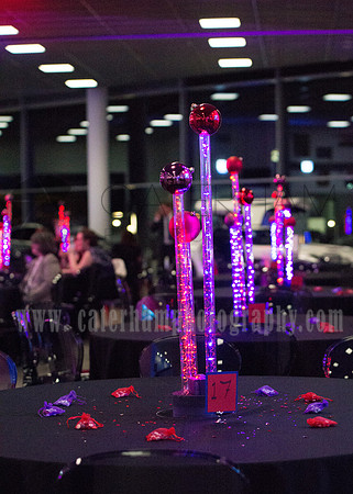 mercedes benz world weddings (12)