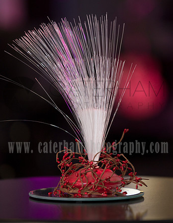 mercedes benz world weddings (19)