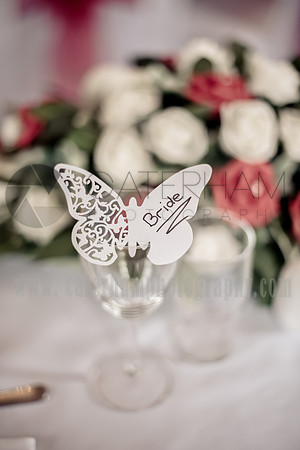 Crowhurst Park Wedding East Sussex (12)