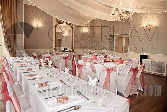 surrey wedding photographer- Crowhurst Park Wedding East Sussex- reception
