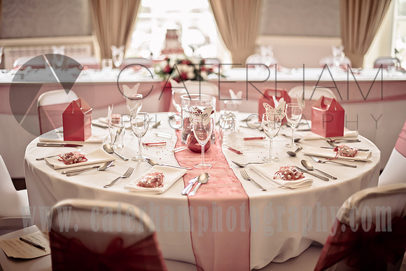 Crowhurst Park Wedding East Sussex (5)