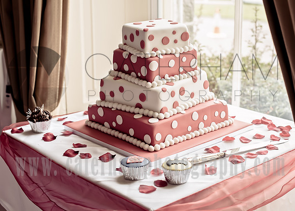 Crowhurst Park Wedding East Sussex (8)
