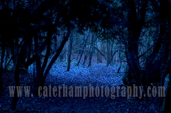 Caterham photography : surrey photographer