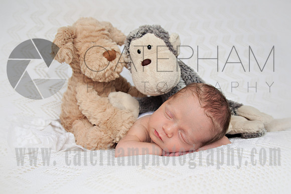 newborn photography surrey