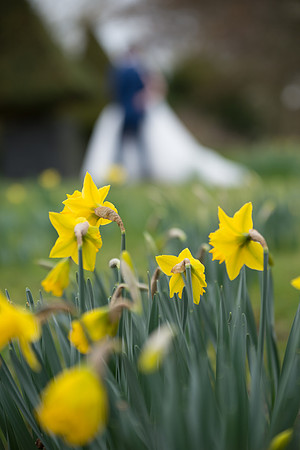Surrey wedding photographer Bride and Groom