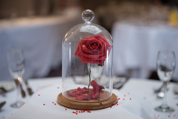 Kent wedding photographer Kent wedding venue Chilston Park Hotel