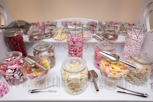 Wedding photographer Europa Gatwick Hotel weddings