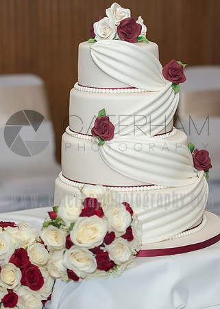 Surrey wedding photographer / selsdon park hotel wedding the cake at last 49