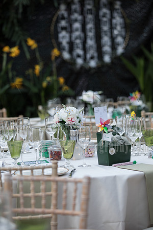 Wedding photography Wisley RHS Garden