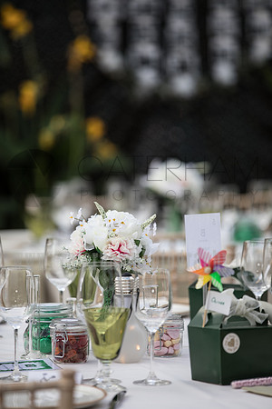 Wedding photography Wisley RHS Garden