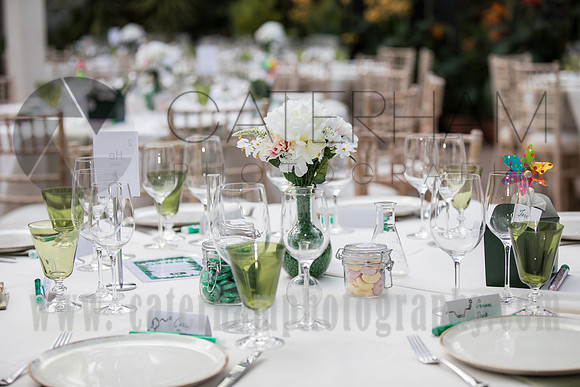 Wedding photography Wisley RHS Garden