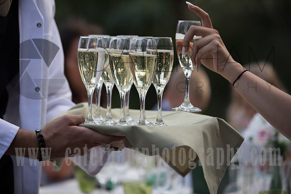 Wedding photography Wisley RHS Garden