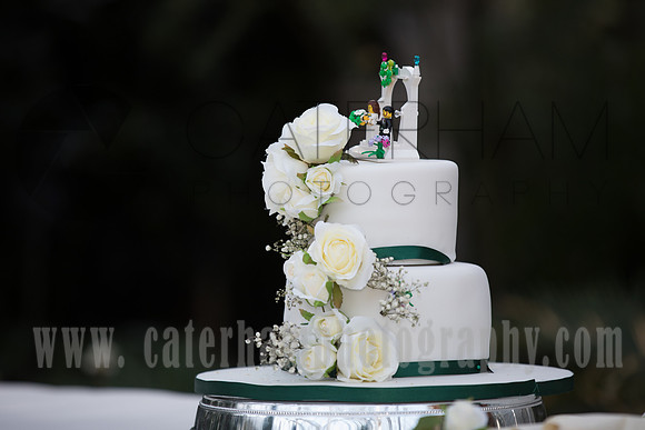 Wedding photography Wisley RHS Garden
