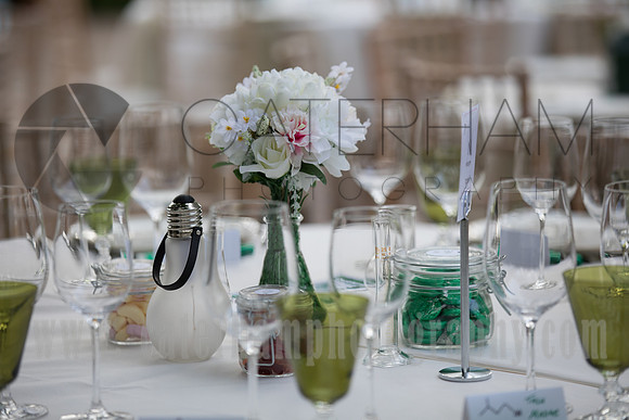 Wedding photography Wisley RHS Garden
