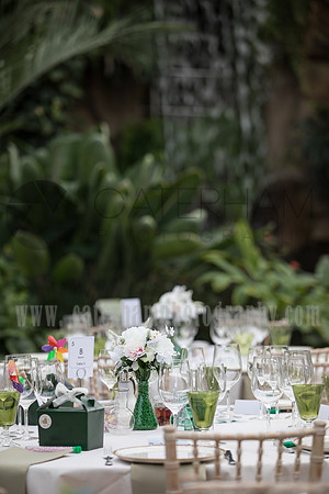 Wedding photography Wisley RHS Garden