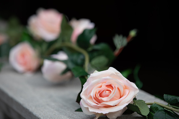 Surrey wedding photographer Denbies Wine Estate Dorking Wedding