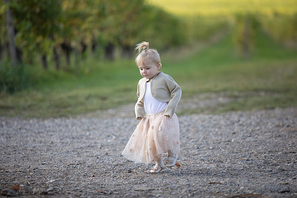 Surrey wedding photographer Denbies Wine Estate Dorking Wedding