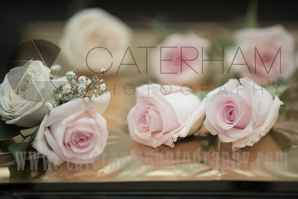 Surrey wedding photographer Morden Hall Weddings