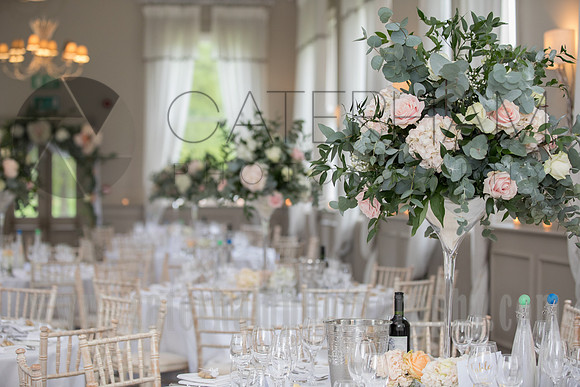 Surrey wedding photographer Morden Hall Weddings