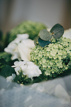 surrey wedding photographer Oaks Farm Weddings -169A5516
