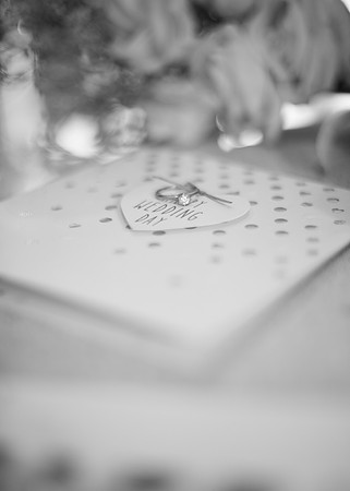 DSC_1246